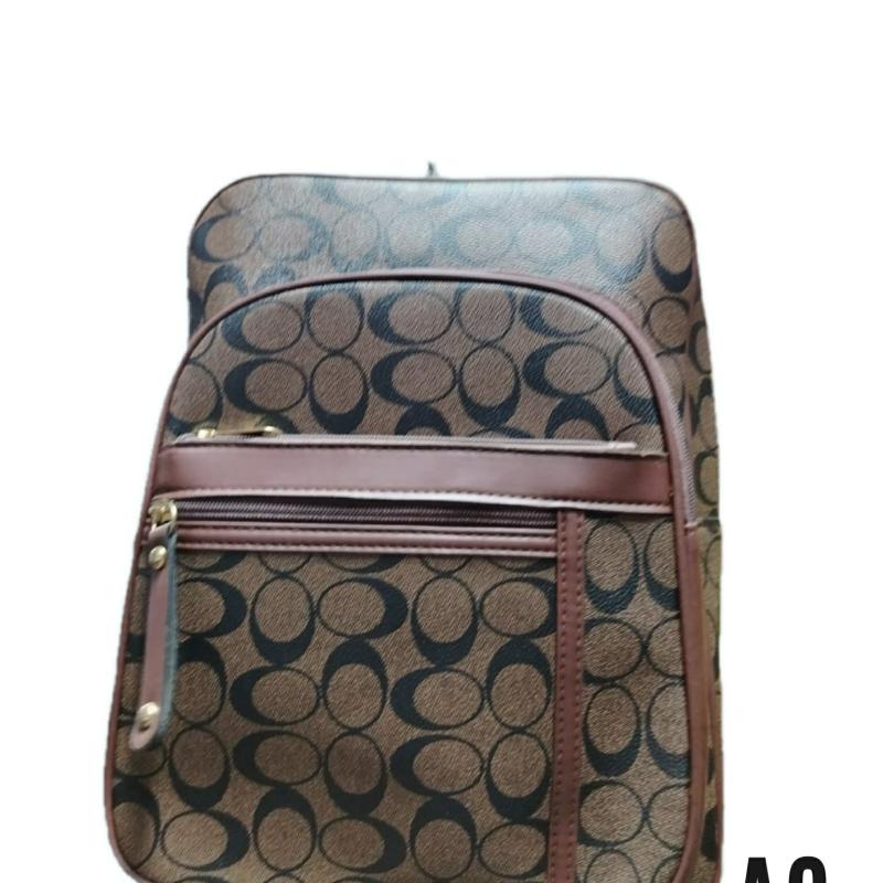 Luxury Style Fashion Bagpack